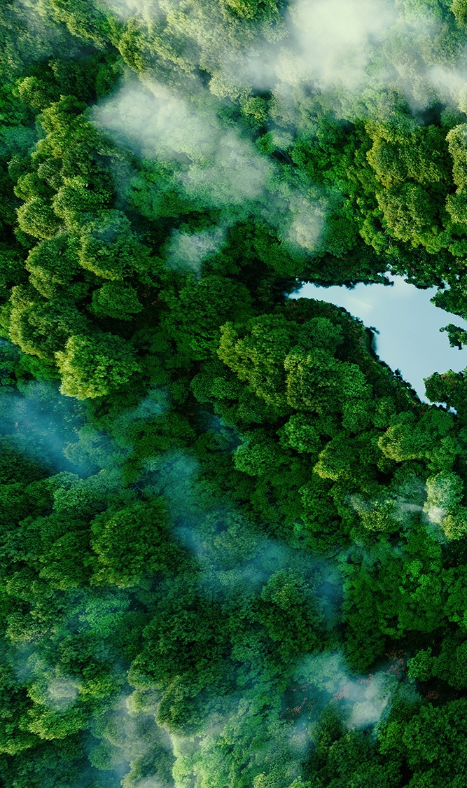 A lake in the shape of the world's continents in the middle of untouched nature. A metaphor for ecological travel, conservation, climate change, global warming and the fragility of nature.3d rendering
